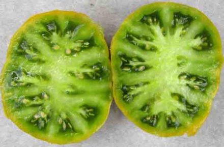 Tomate Green Velvet